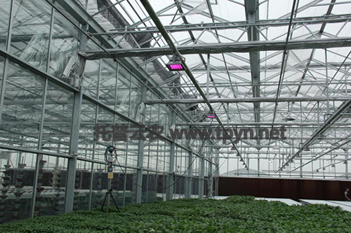 蕭山農(nóng)科所臨浦基地現(xiàn)代農(nóng)業(yè)示范區(qū)